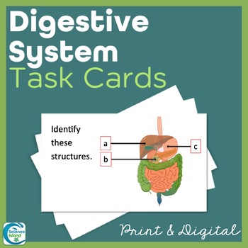 Preview of Digestive System Task Cards - Anatomy and Physiology Activity