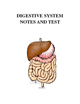 Digestive System Test With Study Guide Notes by Leesa | TPT