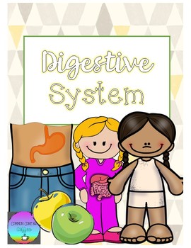 Preview of Digestive System Unit!