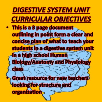 Preview of Digestive System Unit Curricular Objectives