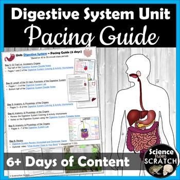 Preview of Digestive System Unit Pacing Guide