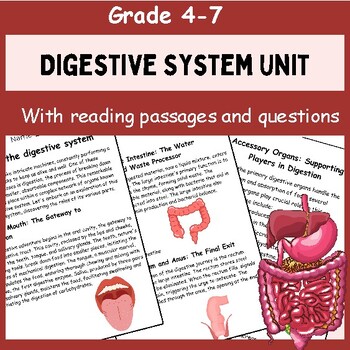 Preview of Digestive System Unit | comprehension questions | Diagrams | Activities