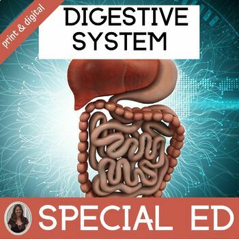 Preview of Digestive System Anatomy and Physiology Curriculum for Special Education Science