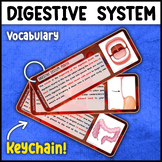 Digestive System Vocabulary | KEYCHAIN | Digestive System 