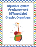 Digestive System Vocabulary and Graphic Organizers