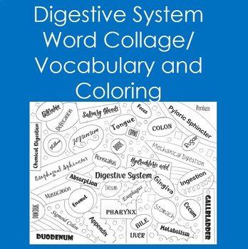 Preview of Digestive System Word Collage (Vocabulary, Coloring, Anatomy, Biology)