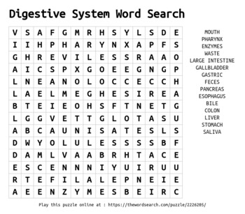 Preview of Digestive System Word Search