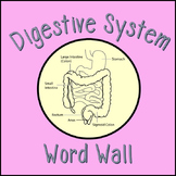 Digestive System Word Wall Cards & student vocabulary handout