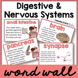 Digestive System and Nervous System Definitions Vocabulary