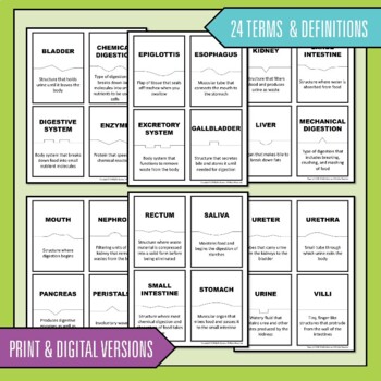 Digestive System and Excretory System Vocabulary Activity | Science Puzzles