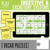 Digestive System and Excretory System Vocabulary Activity 