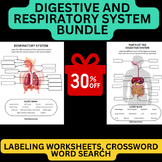 Digestive System and Respiratory System worksheets Bundle