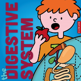 Digestive System fold and learn