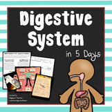 Digestive System in 5 Days