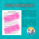 Digestive Systems Activity