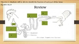 Animal Digestive Systems PowerPoint