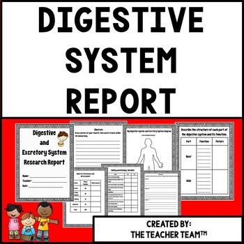 Preview of Digestive System Activities  | Digestive System Research Report