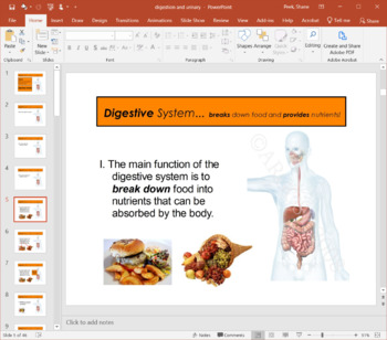 Preview of Digestive and Excretory Systems - PowerPoint Presentation