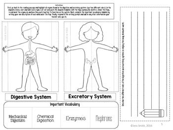 Digestive and Excretory Systems Read and Apply Notebook Activity {NGSS ...