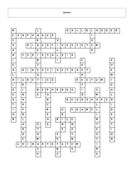 Digestive and Urinary Systems Crossword Puzzle with key TpT
