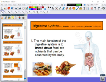 Preview of Digestive and Urinary Systems - Flipchart Presentation