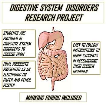 Preview of Digestive System Disorders Project (Human Anatomy and Physiology)