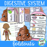 Digestive system foldable sequencing activity bundle human