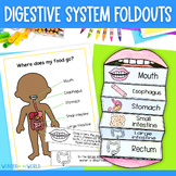 Digestive system foldable sequencing activity for interact