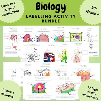 Preview of Biology diagram labeling activities bundle cells organs systems plant animal