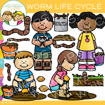 Preview of Worm Life Cycle Science Nature and Sequencing Clip Art