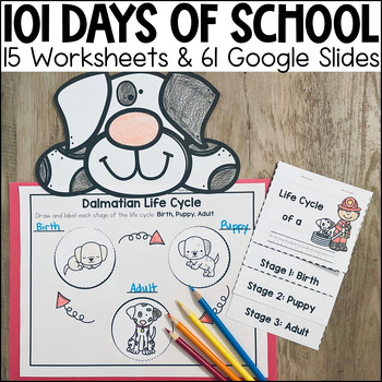 Preview of 101st Day of School Activities | Life Cycle Dalmatian Worksheets & Google Slides