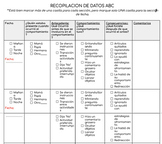 Digital ABC Data Collection (Spanish Version)