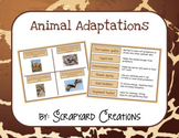 Digital Animal Adaptations Activity (Distance Learning)