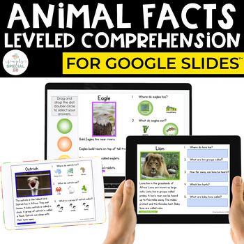 Preview of Digital Animal Facts Leveled Comprehension (Digital Comprehension Special Ed)