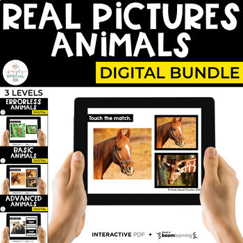 Preview of Digital Animals Interactive PDF + Boom Cards™ Special Ed (3 Levels)