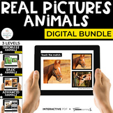 Digital Animals Interactive PDF + Boom Cards™ Special Ed (
