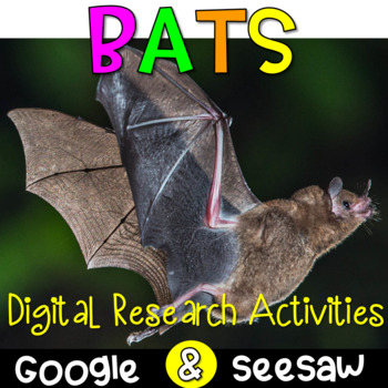 Preview of Digital Bat Research Activities | Bat Reading Passages