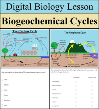 Preview of Digital Biology Lesson - Biogeochemical Cycles - Distance Learning Ready