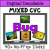 Digital CVC Decodable Book with Real Photographs - Bug