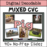 Digital CVC Decodable Book with Real Photographs - Pig