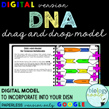 Digital Dna Model By Biology Roots Teachers Pay Teachers
