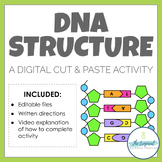Digital DNA model - cut & paste activity
