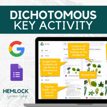 Preview of Digital Dichotomous Key Activity on Leaves | Google Forms and Docs