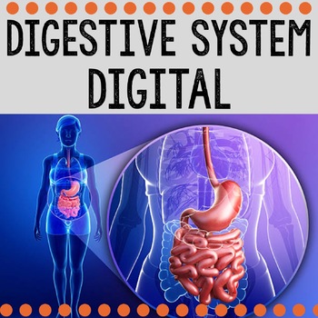 Preview of Digital Digestive System / Human Body
