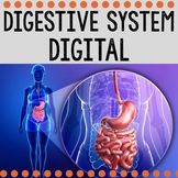 Digital Digestive System / Human Body