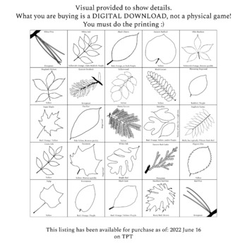 Preview of Foliage Leaf Bingo: Fall! A Printable Coloring Sheet + Tabletop Game Board