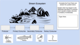 Digital Drag and Drop Food Chain trophic levels by ecosystem
