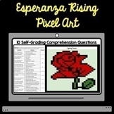 Digital Esperanza Rising Self Grading Comprehension Pixel 