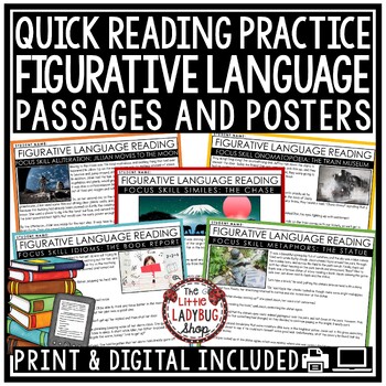 Preview of Figurative Language Anchor Charts Reading Comprehension Passages 3rd 4th Grade