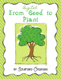 Digital From Seed to Plan 10 Day Unit (Distance Learning)